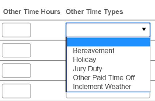 You will enter Sick Hours, Annual Leave Hours, and Other Time Hours as a number of hours per day for that pay period.
