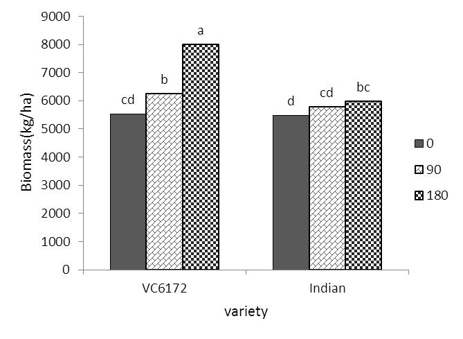 EFFECTS OF WATER STRESS AND POTASSIUM ON MUNG BEAN (VIGNA RADIATA L.) VC 6172 variety had more biomass in comparison to Indian variety (8%) (Table 4).