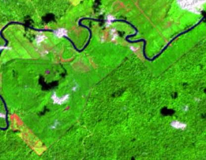 Landsat, 2003 Landsat, 2016 1 Palm oil 2 plantation Palm