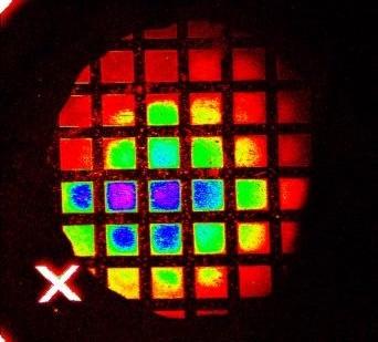 LSCM Fluorescence Image of LEPSi Wafer Light-Emitting Porous Silicon