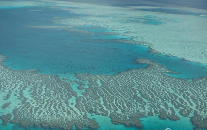 ARC Centre of Excellence for Coral Reef Studies BackGRound The Great Barrier Reef (GBR) has attracted significant public attention over the past 50 years starting with proposals to mine for limestone