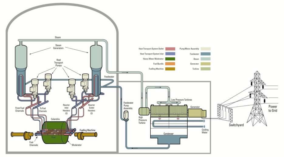 CANDU fuel cycle advantages Steam Steam Generators Coolant Pumps Highest