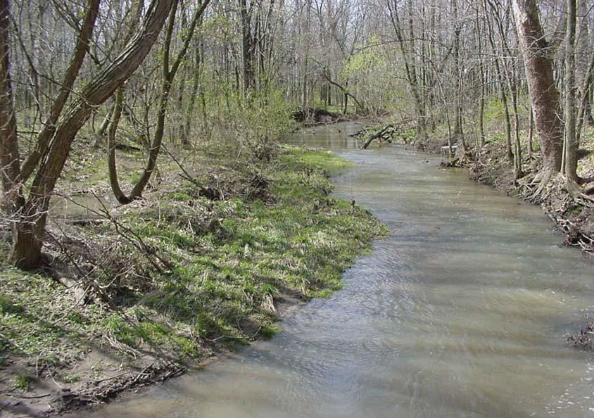 2.5 Stream Setback Area Description Stream setbacks (also known as streamways or riparian buffer areas) minimize property damage and protect water quality by providing areas where over bank flooding,