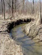 Most frequently monitored stream characteristics, such as the water chemistry, habitats features or the biota found in the stream, are the result of other variables.