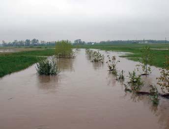 flow on the floodplain allow eroded sediment and other pollutants to be settled out of the flow; flood waters infiltrate into the shallow groundwater that sustains stream baseflow.