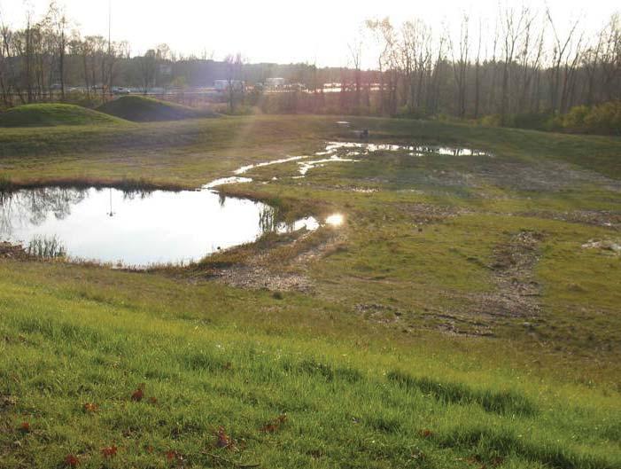 Appendix 10: Alternative Pre-treatment Options for Dry Extended Detention Basins - Rationale and Expectations Research has shown that of the various mainstream stormwater BMPs (wet ponds, dry ponds,