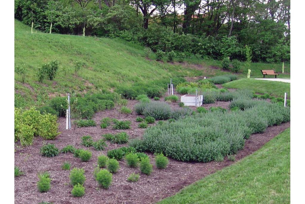 2.10 Bioretention Description Bioretention practices are stormwater practices that utilize a soil media, mulch and vegetation to treat runoff and improve water quality for small drainage areas.