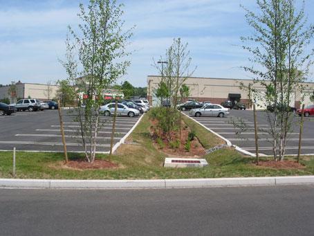 R-4: Bioretention without an Underdrain Description A bioretention area without an underdrain is a vegetated shallow depression that is designed to receive, retain, and infiltrate stormwater runoff