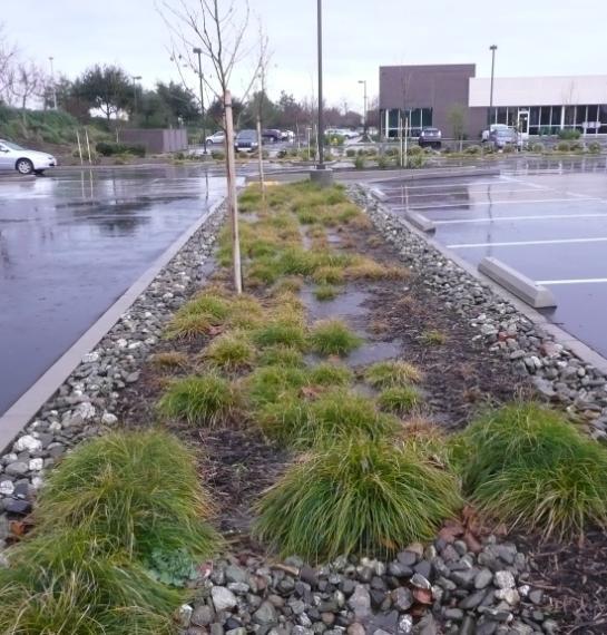 R-8: Bioretention with an Underdrain Description A bioretention area with an underdrain is a vegetated shallow depression that is designed to receive, retain, and infiltrate stormwater runoff from