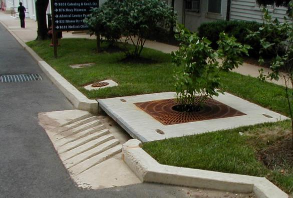 R-11: Tree-Well Filter Description A tree-well filter is similar to bioretention and stormwater planters and consists of one or multiple chambered pre-cast concrete boxes with a small tree or shrub