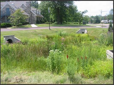 C-2: Constructed Wetland Description A constructed wetland is a singlestage treatment system consisting of a forebay and permanent pool with aquatic plants.