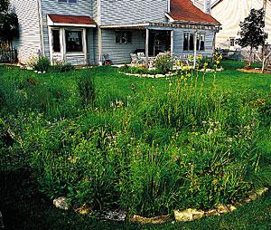 L-1: Rain Garden Description A rain garden is a planted depression that is designed to receive, retain, and infiltrate stormwater runoff from impervious areas, such as rooftops and pavement.