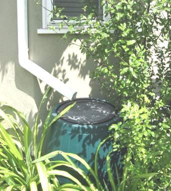 L-2: Rain Barrel/Cistern Description Rain barrels and cisterns are containers that collect and store stormwater runoff from rooftop drainage systems that would otherwise be lost to runoff and