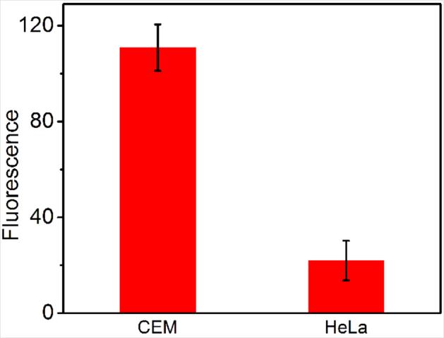 Supplementary Figure 5 Fluorescence intensity for quantitative analysis of sirna-onv internalized in HeLa and CEM cells.