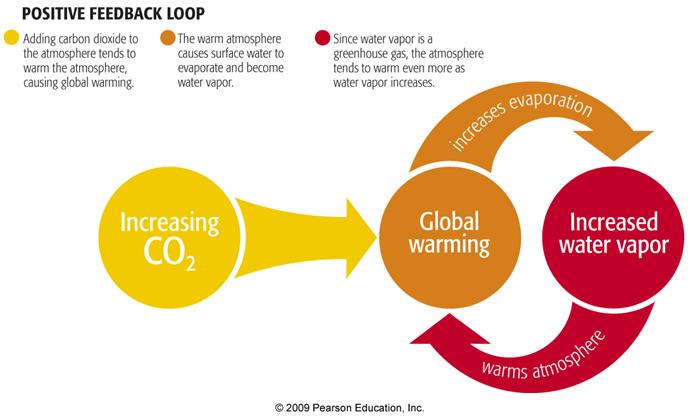 dioxide, act as greenhouse gases in