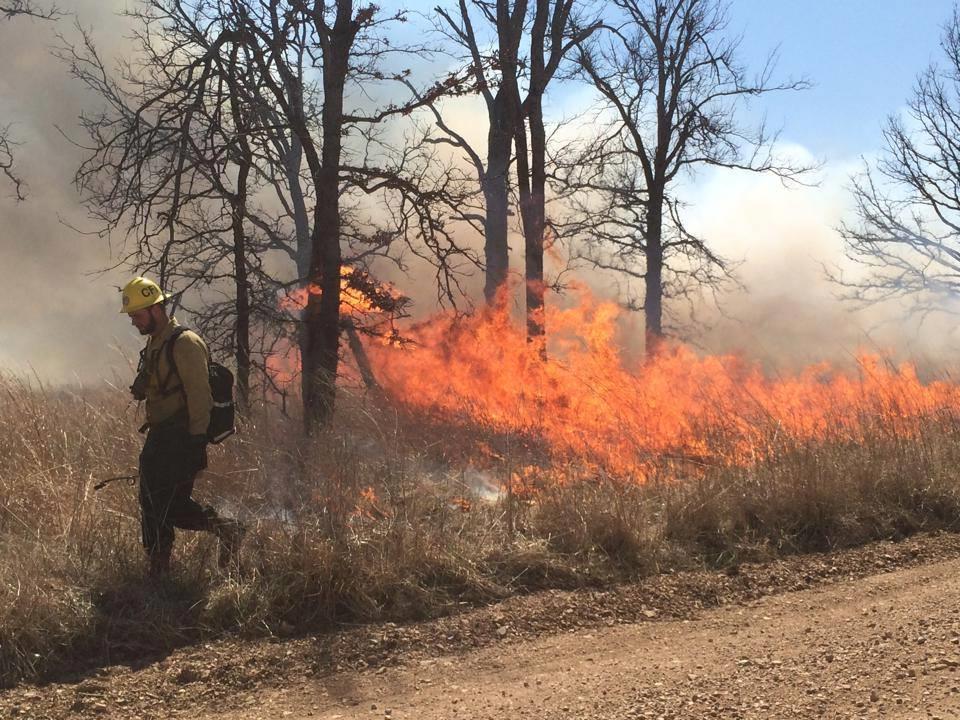 Running Fire spread rapidly with a well defined head.
