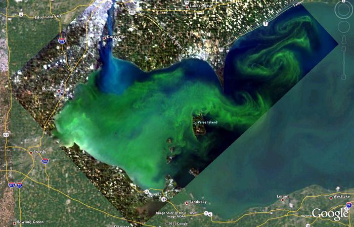 Overview of Nutrient Issues in Lake Erie Starting in the mid-1990s, Lake Erie once again experiencing