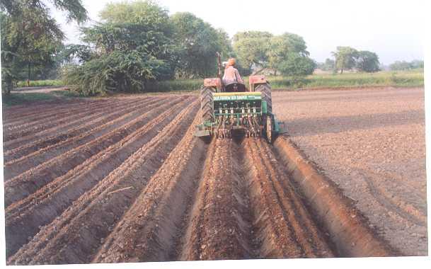 Zero tillage for wheat, direct seeding, bed planting, laser land leveling &