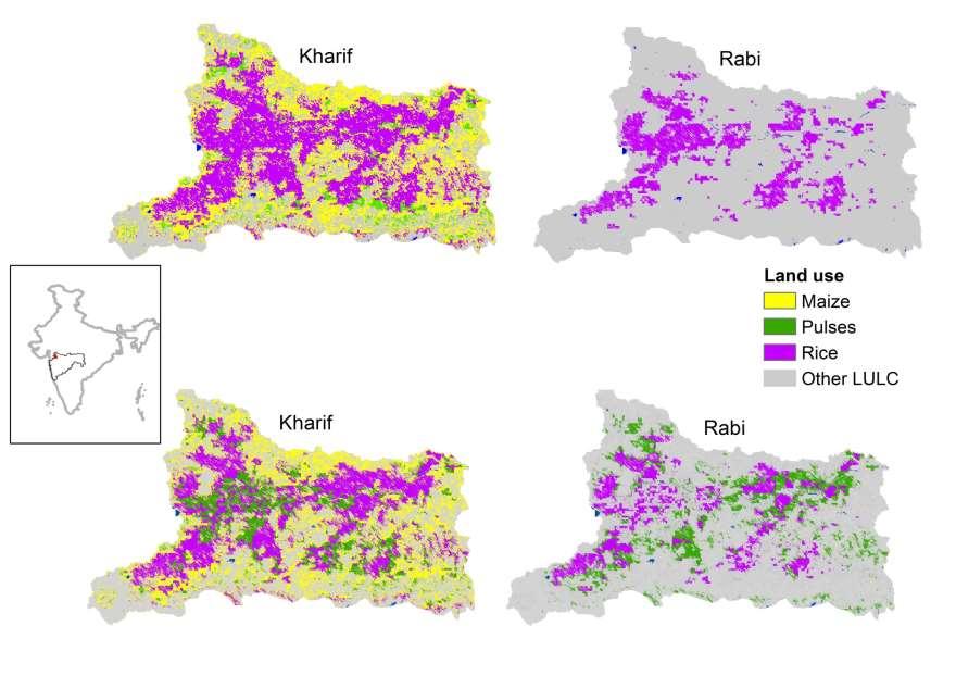 Crop production and water use: Sakare, Dhule District Baseline
