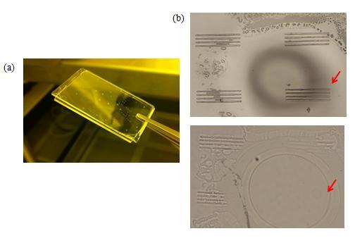Figure 14. Influence of bubbles on imprinting. (a) bubble-trapped soft mold. (b) bubbletrapped soft mold (top figure), and corresponding imprint result (bottom figure). 4.1.2 Soft UV-NIL Results.