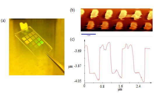 Figure 21. Demonstration of soft mold for nanometer-scale imprint. (a) overview of soft mold.