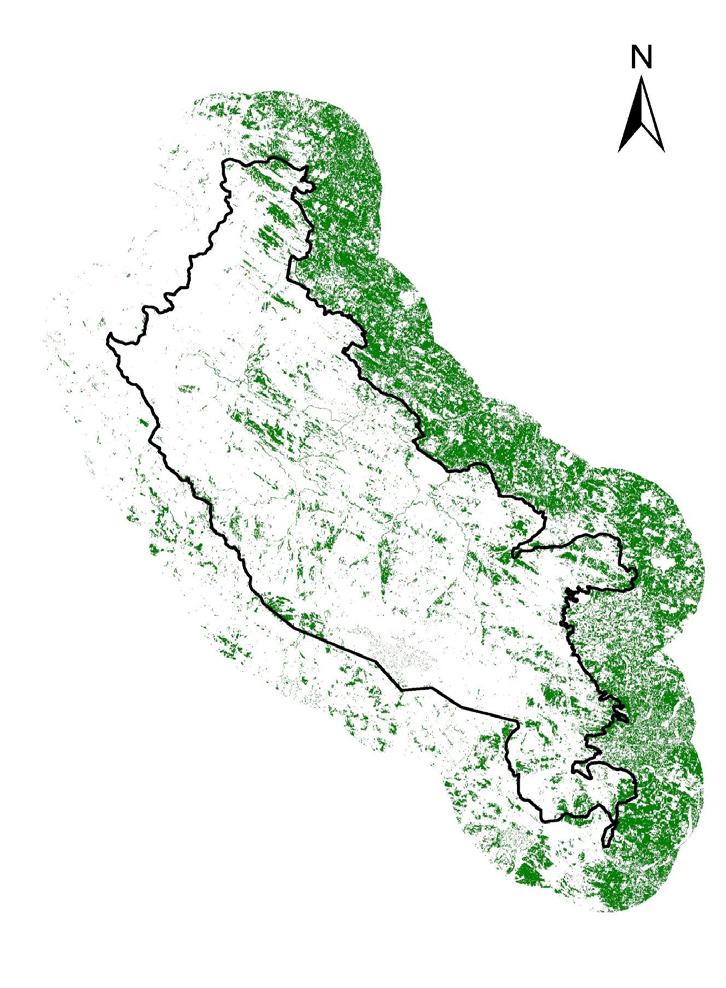 Change Detection of Forest Vegetation using Remote Sensing and GIS Techniques in Kalakkad moderate vegetation has increased from 369.02 sq.km to 408.25 sq.km. (a) (b) (c) Figure 3.