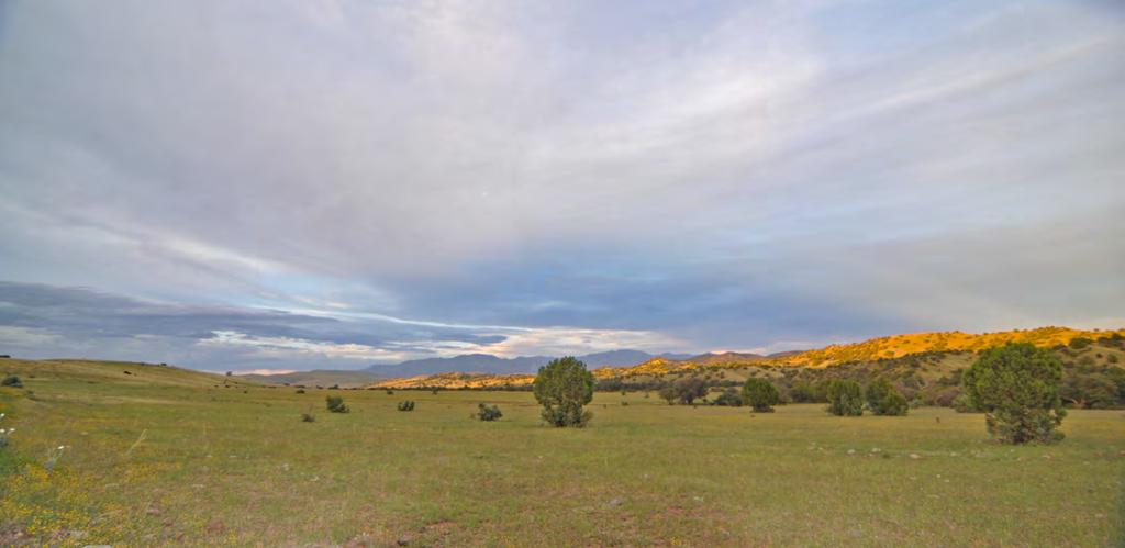 Sawmill Creek Ranch $5,000,000 Diverse in hunting opportunities, running approximately 40 to 45 cows, bordering the Apache National Forest, in an area renowned for places of interest, and within one