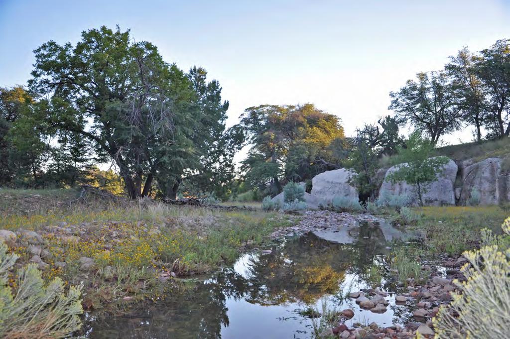 A Southwest Treasure Seasonal creek beds lined in black walnut, oak, and ponderosa pine, set against outcroppings of boulders make up portions of Sawmill Creek Ranch, while rolling grassy fingers,