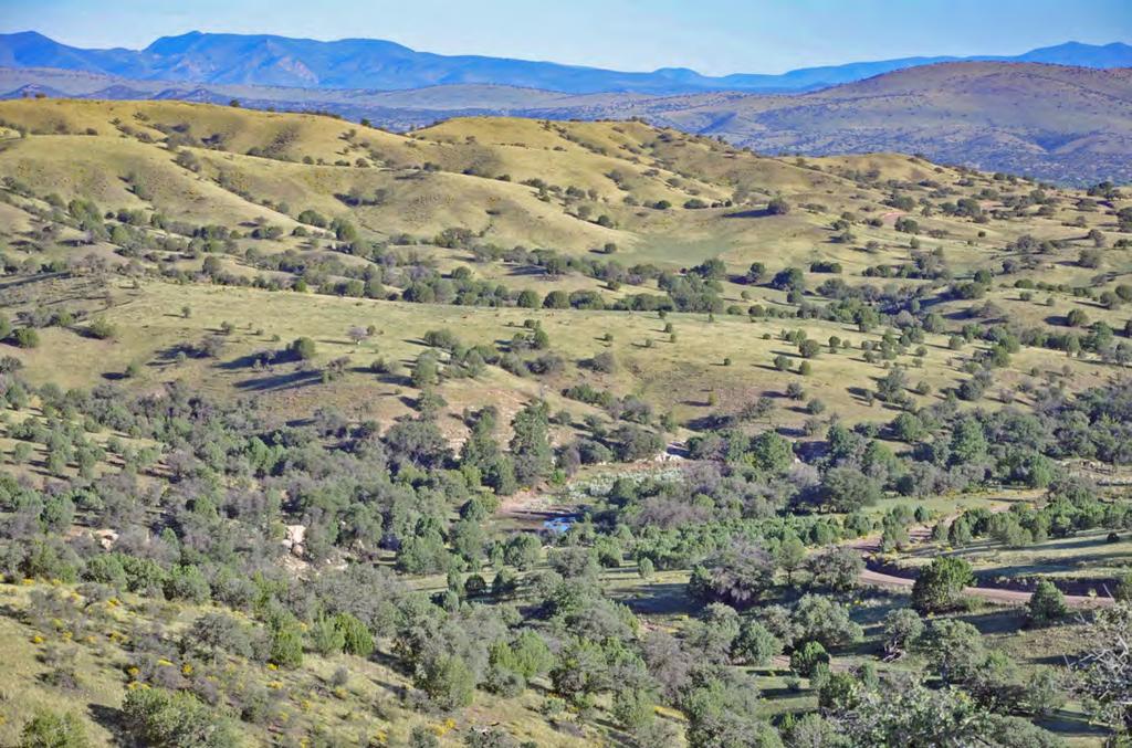 A Multitude of Recreational Opportunities at a Gentle Climate Sawmill Creek Ranch butts up against the Gila National Forest the full length of its western and southern boundaries providing access to