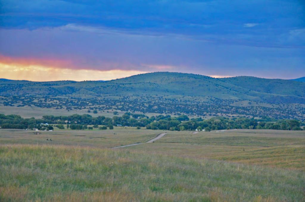 A Remarkable Location The quaint little town of Mule Creek, two miles north of Sawmill Creek Ranch, sits exquisitely amidst rolling grassy hills with the mountains of the Gila National Forest as a