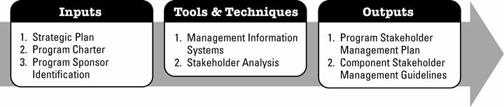 Program stakeholder management revolves around these primary stakeholders.
