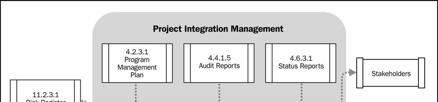 Figure 4.16 Manage Program Issues: Process Flow 4.7.1 Manage Program Issues: Inputs.