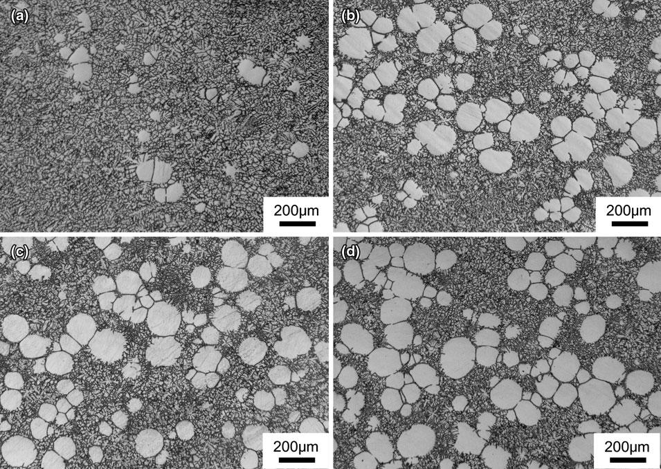 Fig. 4 Optical micrographs showing microstructures of the AZ91D slurry prepared at a range of temperatures: (a) 870 K (597 C), (b) 866 K (593 C), (c) 863 K (590 C), and (d) 858 K (585 C).