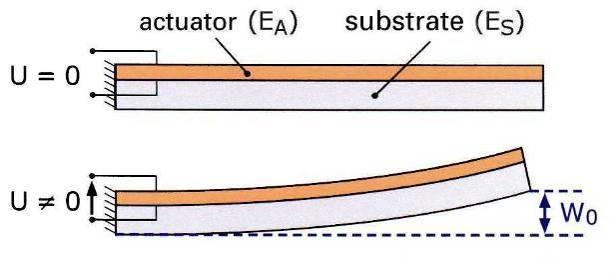 Actuators Exploit the Inverse Piezo Effect... The electrical design is basically that of a plate capacitor. The ceramic serves as dielectric between the two metalized surfaces which act as the plates.