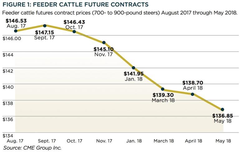 Beef Industry News Featured Article from BEEF Magazine Marketing options for your calf crop By Myriah Johnson Sept 28, 2017 It has been, to say the least, a wild ride.