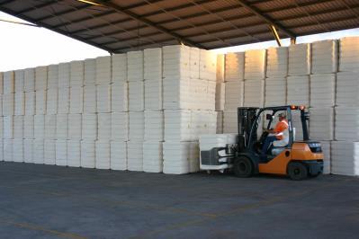 million bales China Cotton Stocks, Usage and Imports Ending stocks projected to be 161% of usage in 2013/14. 70.0 60.0 50.