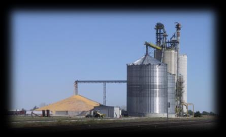 $ / unit Commodity Price Outlook: Grains Generally weaker in 2013;