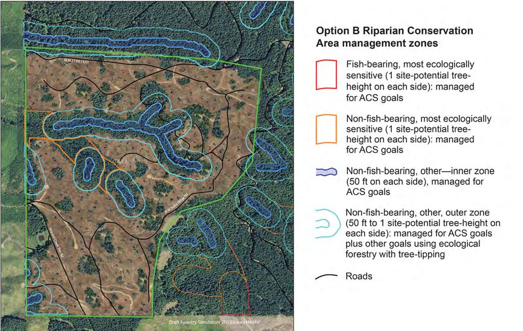 Potential Options for Managing Riparian Reserves of the Aquatic Conservation Strategy of the Northwest Forest Plan Figure 2 Simulation of