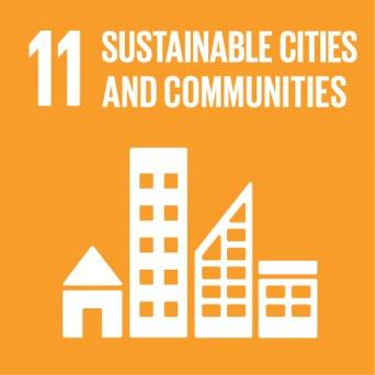 Reduce inequality within and among countries Make cities and human settlements inclusive, safe, resilient and sustainable Ensure sustainable consumption and production patterns Take urgent action to