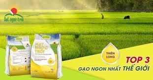 Strengthening of Value chain production The model of link-production Big field in production of High quality rice: Farmer s cooperative, Local Agriculture Cooperative; Enterprise - Scientist.