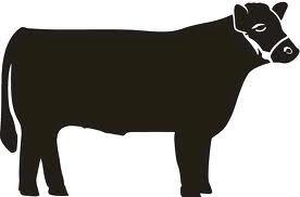 Citrus County Fair Market Animal Record Book Tag # Days in Project 107 Steer: Swine: XXX Name Age (as of Sept.