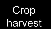 The Phosphorus Cycle in Soil Crop harvest Manure P Fertilizer P Runoff Labile organic P