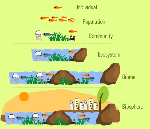 We are a large group of ecosystems that share the same