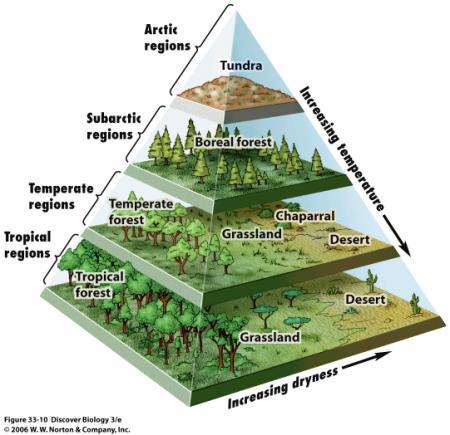Describe and explain one of the biogeochemical cycle of your choice (carbon, nitrogen or