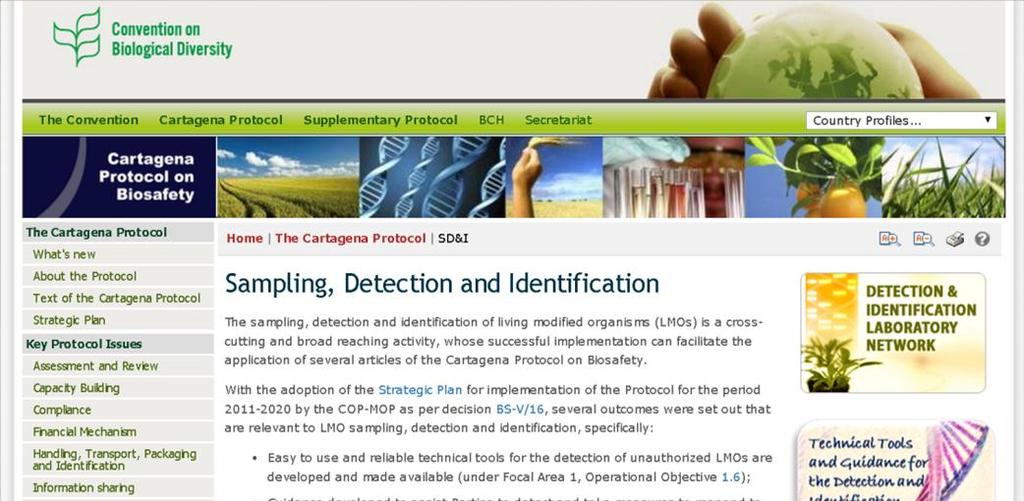 Detection and Identification of