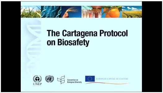 Cartagena Protocol on Biosafety safe handling, transport and use of living