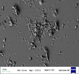 As-Prepared 5 10 13 ions/cm 2 70 MeV Ni 6+ Irradiated Figure 2.Scanning electron micrograph images of of as-prepared and SHI irradiated thin films of CNT- Se 90 S 5 Zn 5 bi-layer system. 3.
