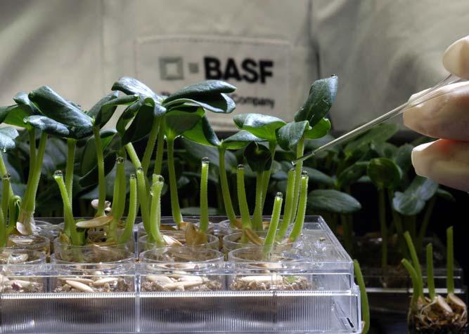 13 BASF s offering: Agricultural Solutions Crop Protection BASF