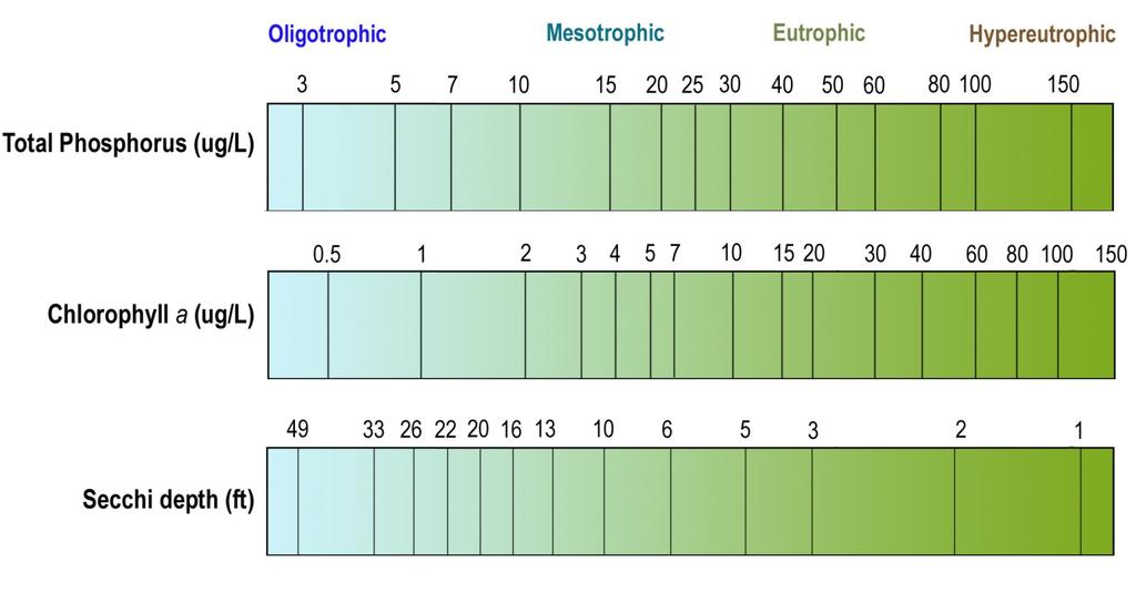 Water Quality Characteristics - Historical Means and Ranges Table 5. Water quality means and ranges for primary sites. Parameters Primary Site 101 Site 205 Total Phosphorus Mean (ug/l): 10.1 9.