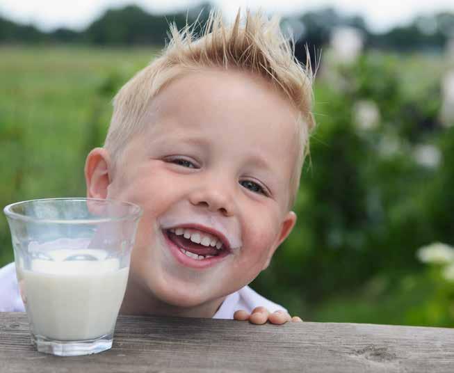 soft curd diet is important at all ages, young and old, minerals such as calcium. This is why milk, as cheese and cheese help people to remain everywhere in the world. physically active.